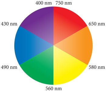 Color wheel for complementary colors