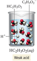 Weak electrolyte: acetic acid