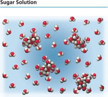 Sugar solution: nonelectrolyte
