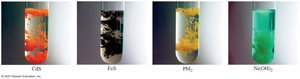 Examples of soluble and insoluble salts