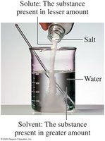 Solute and solvent in a solution