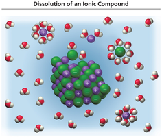 Dissolution of an ionic compound