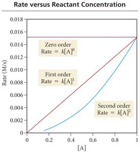 Rate versus reactant concentration for different orders