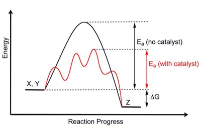 Energy profile with and without catalyst