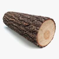 Log of wood illustrating matter properties