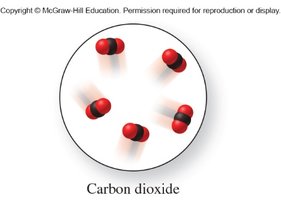 Carbon dioxide molecules