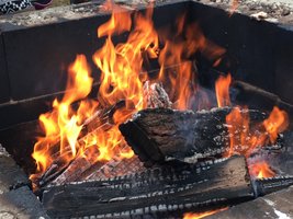 Burning wood: chemical change