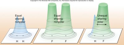 Electron density in H2, F2, and HF