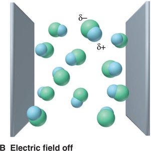 Molecules oriented in electric field on