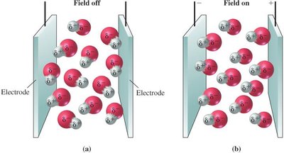 Polar molecules in an electric field