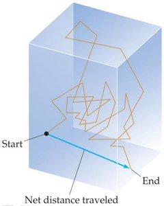 Random path of a gas molecule and its net distance traveled