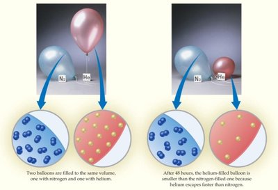 Helium balloon effuses faster than nitrogen balloon