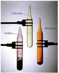 Halogen elements: chlorine, bromine, iodine