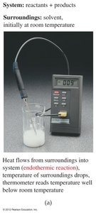 Endothermic reaction experimental setup
