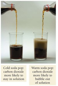 Cold vs warm soda pop and CO2 solubility