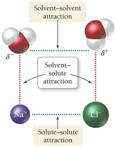 Solvent-solute and solute-solute attractions