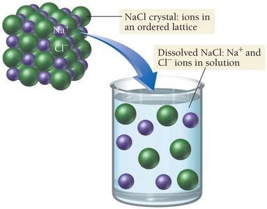 NaCl crystal dissolving in water