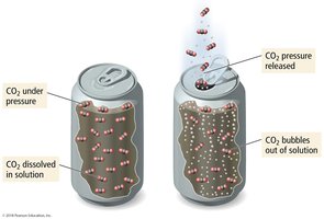 Henry's Law equation