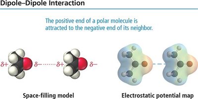 Space-filling and electrostatic potential map of dipole-dipole interaction