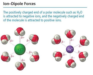 Ion-dipole forces between ions and water molecules