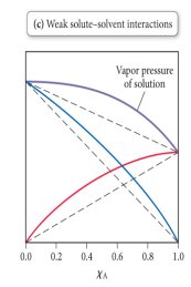 Positive deviation from Raoult's Law