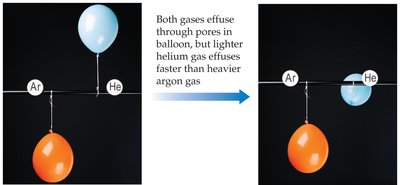 Helium and argon balloons showing different rates of effusion