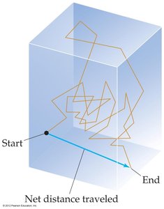 Random walk of a gas molecule in a container