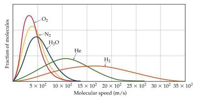 Distribution of molecular speeds for different gases