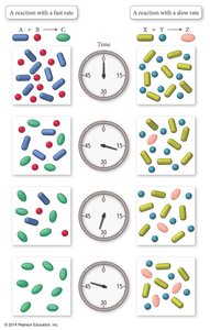 Comparison of fast and slow reaction rates over time