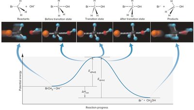 Transition state diagram for BrCH3 + OH- reaction
