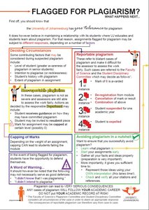 Flagged for plagiarism infographic