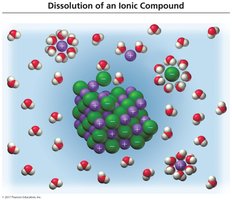 Dissolution of an ionic compound