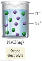 Strong electrolyte (NaCl)