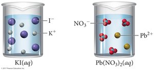 Possible products from ion exchange
