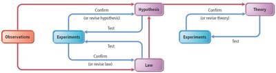 Flowchart of the scientific method: observations, hypothesis, experiments, law, theory