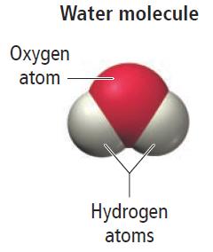 Water molecule: showing hydrogen and oxygen atoms