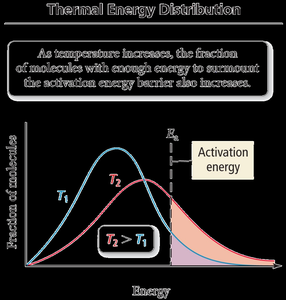 Thermal energy distribution showing effect of temperature on fraction of molecules exceeding activation energy