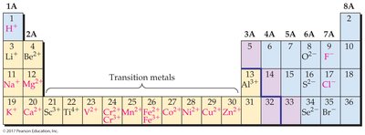 Periodic table with common ion charges