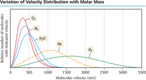 Variation of velocity distribution with molar mass