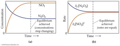 Graphs showing concentration and rate changes as equilibrium is achieved