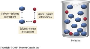 Diagram showing solute-solute, solvent-solvent, and solute-solvent interactions