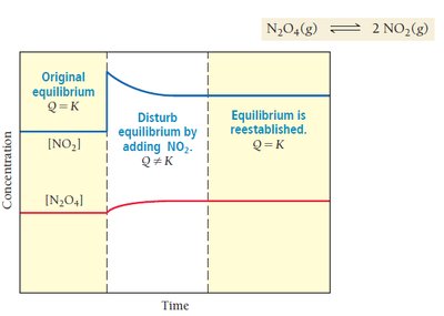 Effect of adding NO2 to N2O4 equilibrium