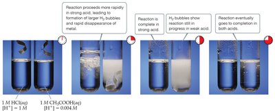 Reaction rates in strong and weak acids