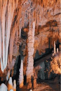 Stalactites and stalagmites formed by pH-dependent solubility of CaCO3