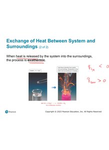 Exothermic process example