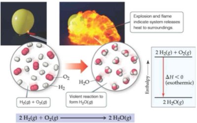 Exothermic reaction example