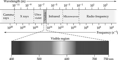 Electromagnetic spectrum and visible region