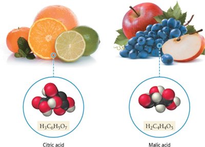 Citric and malic acids in fruits