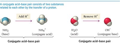 Conjugate acid-base pairs