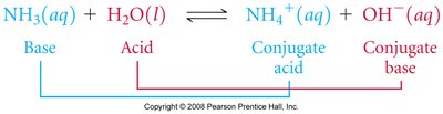 Conjugate acid-base pair reaction